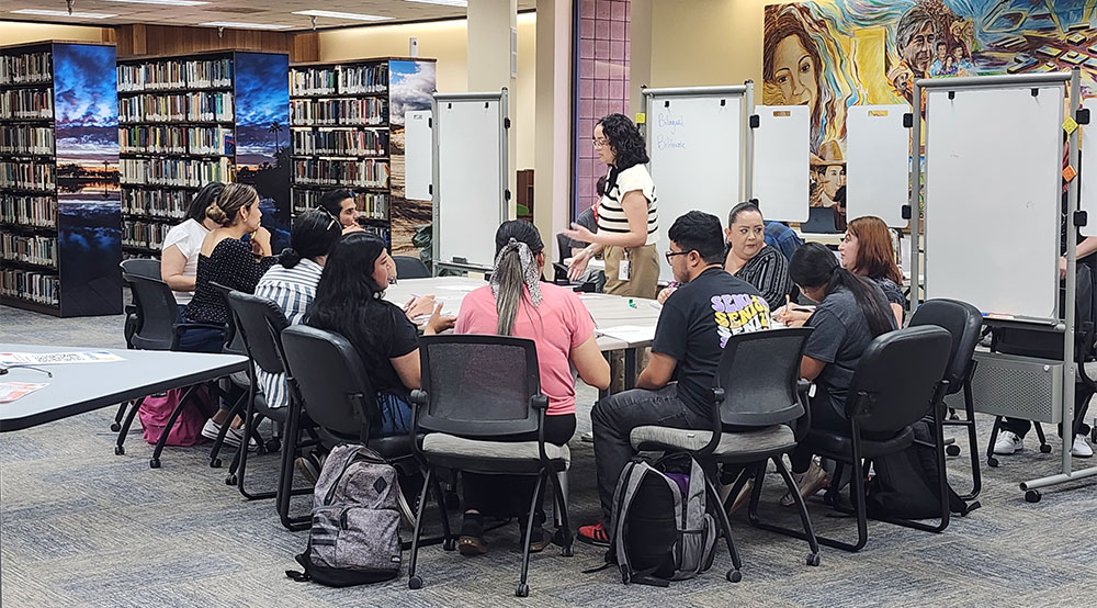 Embedded Tutor Program